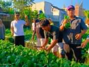 Plt Bupati Tulungagung Apresiasi Wisata Petik Sayur Organik Kepatihan, Dorong Ketahanan Pangan Berbasis Warga