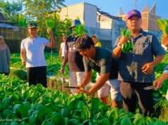 Plt Bupati Tulungagung Apresiasi Wisata Petik Sayur Organik Kepatihan, Dorong Ketahanan Pangan Berbasis Warga