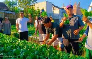 Plt Bupati Tulungagung Apresiasi Wisata Petik Sayur Organik Kepatihan, Dorong Ketahanan Pangan Berbasis Warga