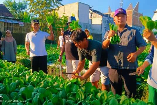 Plt Bupati Tulungagung Apresiasi Wisata Petik Sayur Organik Kepatihan, Dorong Ketahanan Pangan Berbasis Warga