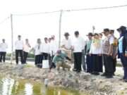 Kampung Kerapu Lamongan Terapkan Modernisasi Perikanan