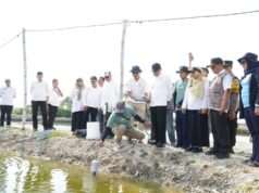Kampung Kerapu Lamongan Terapkan Modernisasi Perikanan