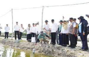 Kampung Kerapu Lamongan Terapkan Modernisasi Perikanan