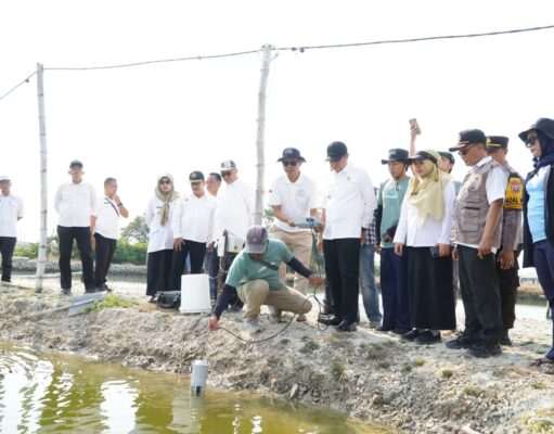 Kampung Kerapu Lamongan Terapkan Modernisasi Perikanan