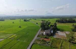 Bupati Andi Rudi Latif Dorong Produktivitas Petani dan Petambak Lewat Pengaspalan Jalan di Desa Sepunggur