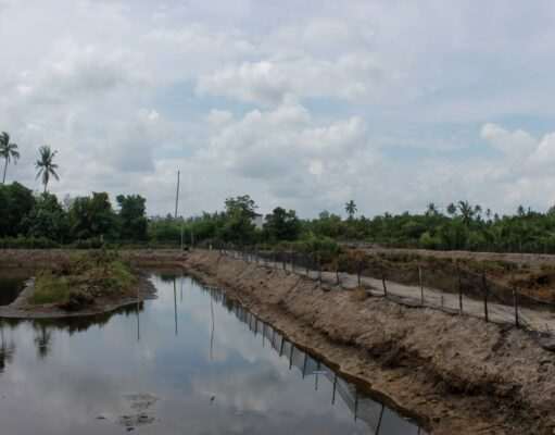Pemkab Tanah Bumbu Tinggikan Tanggul, Petambak Kepiting Muara Pagatan Tak Lagi Cemas Air Pasang