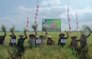 Plt Bupati Tulungagung Hadiri Tradisi Labuh dan Panen Raya di Ngunggahan, Infrastruktur Pertanian Jadi Sorotan