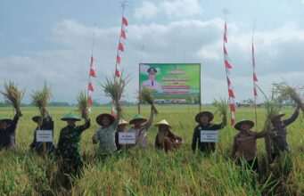 Plt Bupati Tulungagung Hadiri Tradisi Labuh dan Panen Raya di Ngunggahan, Infrastruktur Pertanian Jadi Sorotan