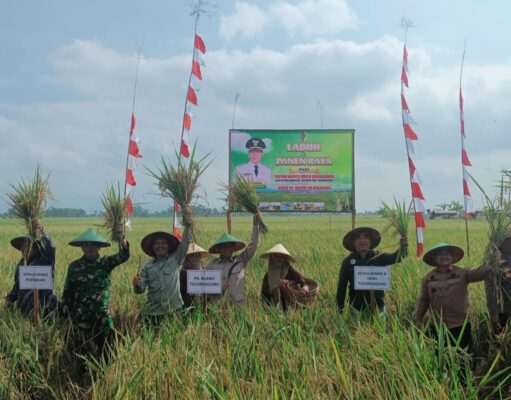 Plt Bupati Tulungagung Hadiri Tradisi Labuh dan Panen Raya di Ngunggahan, Infrastruktur Pertanian Jadi Sorotan