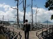 Bupati Andi Rudi Latif Dorong Wisata Mangrove Kersik Putih Jadi Ikon Wisata Tanah Bumbu
