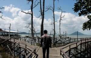 Bupati Andi Rudi Latif Dorong Wisata Mangrove Kersik Putih Jadi Ikon Wisata Tanah Bumbu