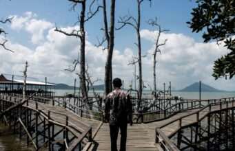 Bupati Andi Rudi Latif Dorong Wisata Mangrove Kersik Putih Jadi Ikon Wisata Tanah Bumbu