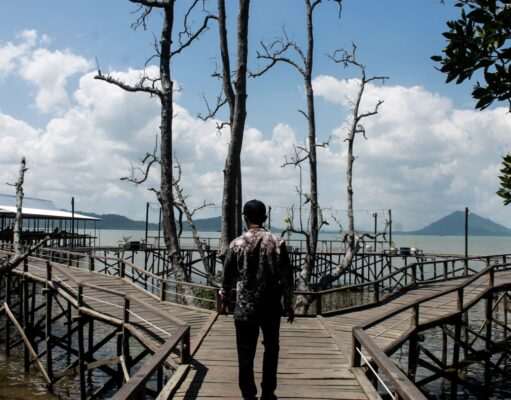 Bupati Andi Rudi Latif Dorong Wisata Mangrove Kersik Putih Jadi Ikon Wisata Tanah Bumbu