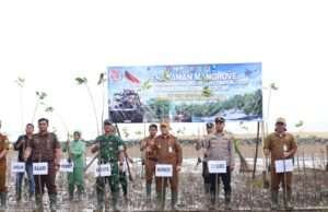 Tanah Bumbu Tanam 1.000 Mangrove Peringati HUT ke-81 TNI
