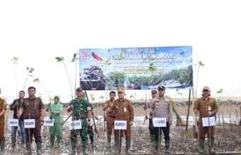 Tanah Bumbu Tanam 1.000 Mangrove Peringati HUT ke-81 TNI