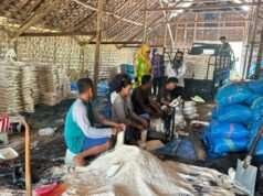 Produksi Garam Capai 1,3 Ribu Ton Per Agustus, Optimis Capai Target pada Tribulan IV