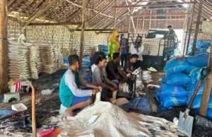 Produksi Garam Capai 1,3 Ribu Ton Per Agustus, Optimis Capai Target pada Tribulan IV