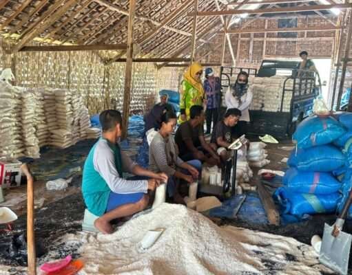 Produksi Garam Capai 1,3 Ribu Ton Per Agustus, Optimis Capai Target pada Tribulan IV
