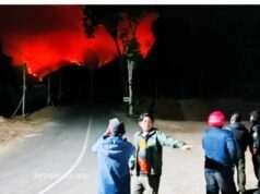 Kebakaran Hutan Melanda Gunung Wilis Nganjuk, BPBD Bersiaga 24 Jam Siaga Satu