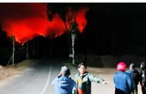 Kebakaran Hutan Melanda Gunung Wilis Nganjuk, BPBD Bersiaga 24 Jam Siaga Satu