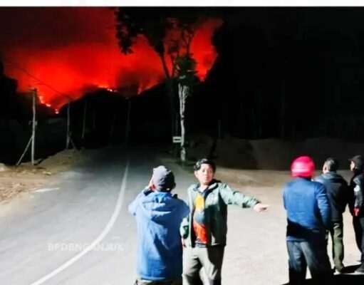 Kebakaran Hutan Melanda Gunung Wilis Nganjuk, BPBD Bersiaga 24 Jam Siaga Satu