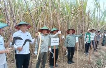 Hadiri Panen Perdana Tebu Program Bongkar Ratoon Tahun 2025 di Bolorejo, Ini Kata Plt. Bupati Tulungagung