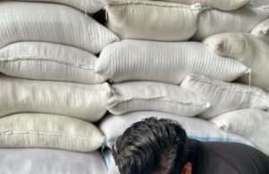 Bulog Bojonegoro Sumbang 84 Ribu Ton, Pengadaan Beras Nasional Lampaui Target