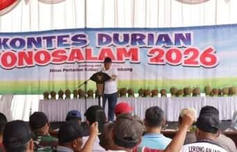 Bukan Sekadar Adu Rasa, Kontes Durian Wonosalam 2026 Berburu Varietas Unggulan Baru