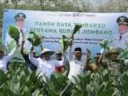 Tembakau Jombang Bernilai Rp487 Miliar, Dispertan Bidik Penguatan dari Lahan hingga Pasar